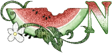 7 - Watermelon_PL_N-vi.gif