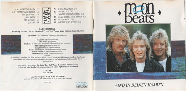 Moonbeats 1992 - Wind In Deinen Haaren 320 - Cover.jpg