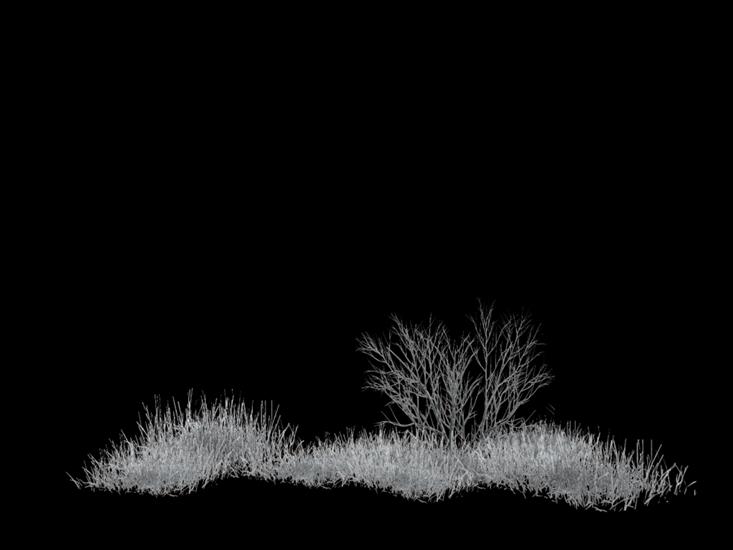 Drzewa photoshop PNG - SnowyGrassPlants1-BlackStock.png