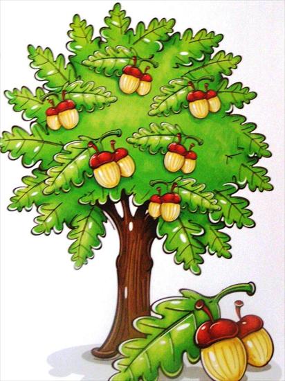 drzewa i ich owoce - P8180882.JPG