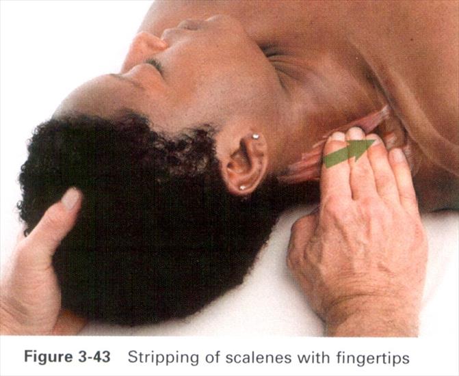 Anatomia masażu - 3-43.JPG