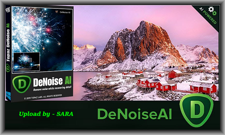 Topaz DeNoise AI 2.4.1 x64 - jgytft5.png