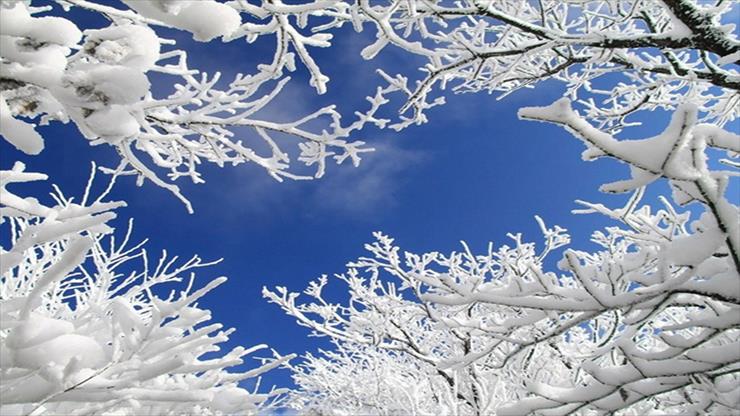 Piękno przyrody zimą - Piękno przyrody zimą 3.jpg