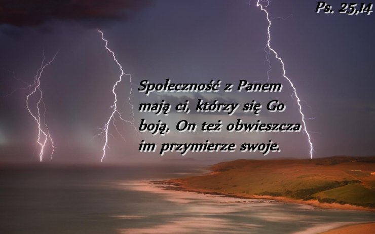 Tapety ze Słowem Bożym - Ps. 25,141.jpg