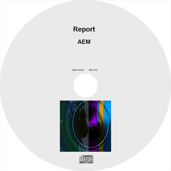 AEM - Report  2010 - AEM - Report - disc.jpg