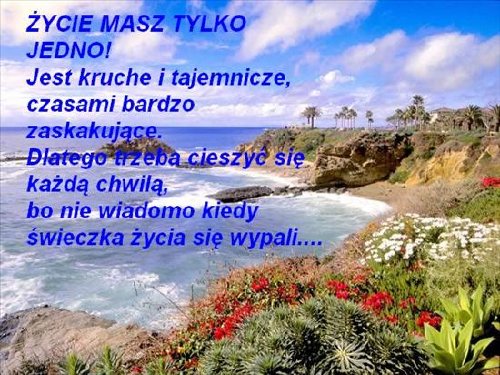 Aforyzmy wiersze i inne takie tam - Życie masz tylko jedno.jpg